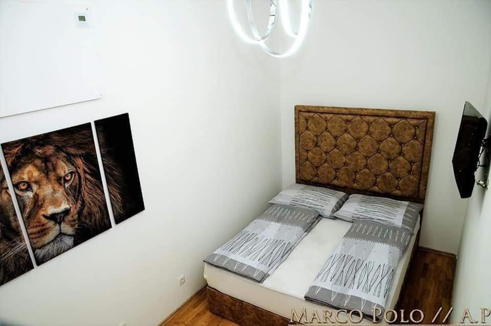 Markopolo Apartments Viena Exterior foto